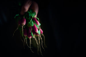 le clair-obscur en photographie culinaire