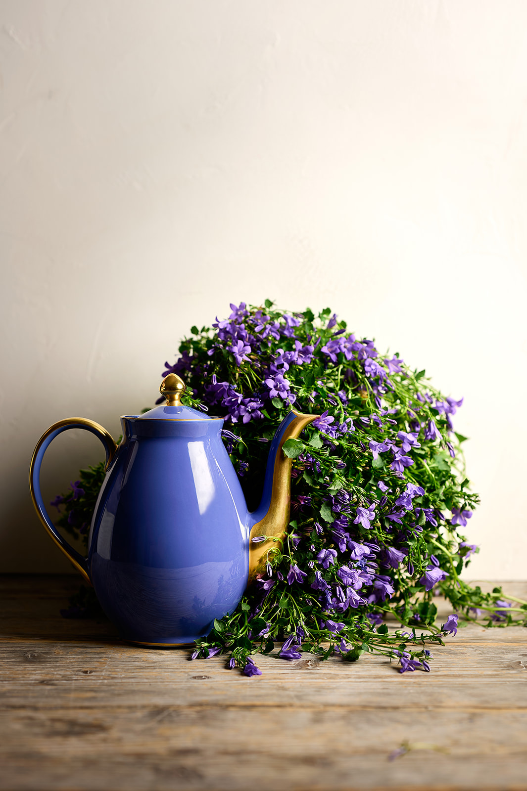photographe porcelaine Limoges